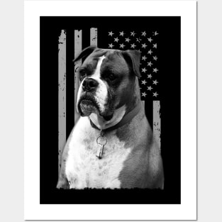 Boxer Elegance American Flag the Sophistication of Boxers Posters and Art